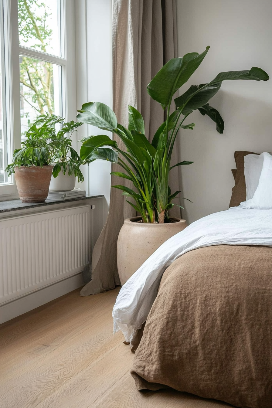 Scandinavian plants in minimalist ceramic pots